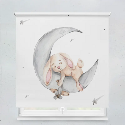 Spring Rollo Motiv Hase Kind Mond