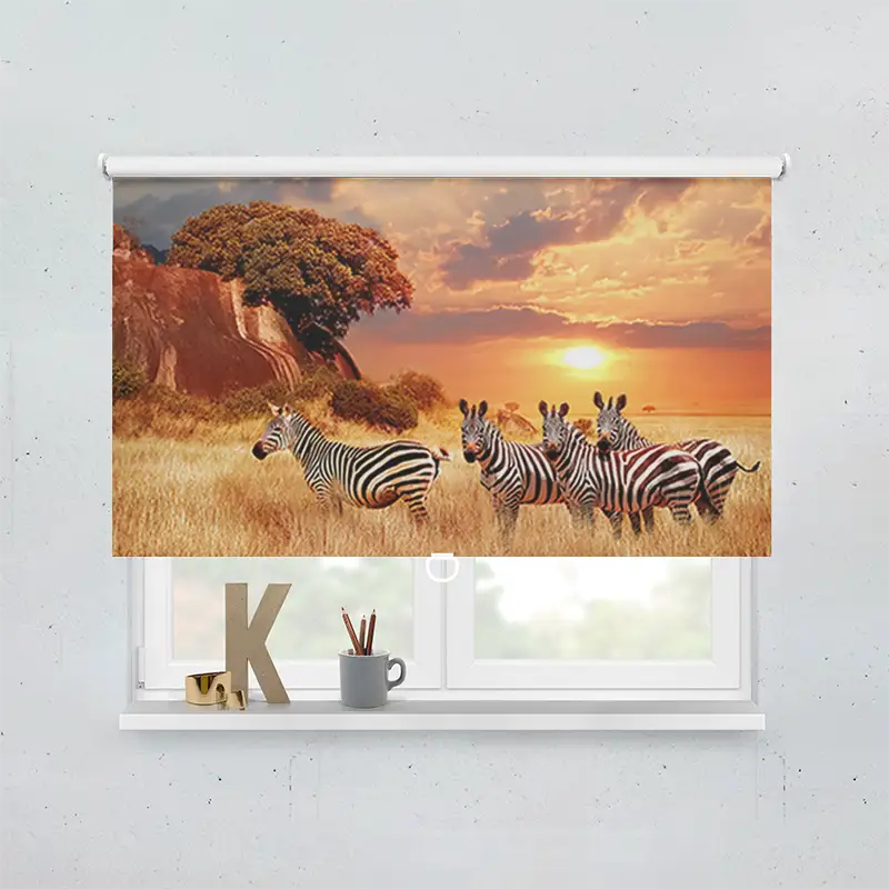 Springrollo Motiv Zebras In Afrikas Savanne
