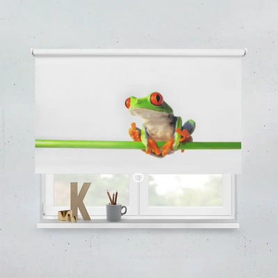 Spring Rollo Motiv Rotaugenlaubfrosch