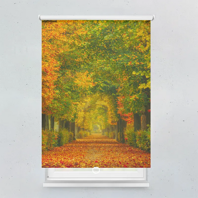 Spring Rollo Motiv Herbstweg