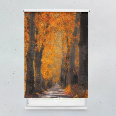 Spring Rollo Motiv Herbstschatten