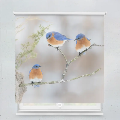 Spring Rollo Motiv Drei Drosseln