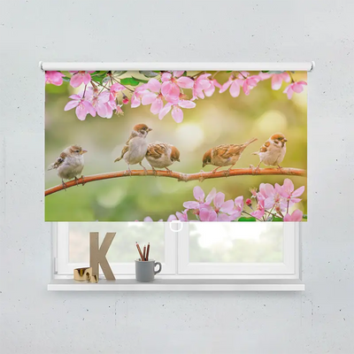 Spring Rollo Motiv Spatz Ast Rosa Blueten