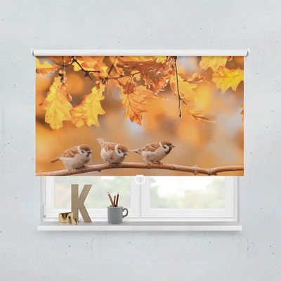 Spring Rollo Motiv Vögel Im Herbst