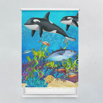 Spring Rollo Motiv Orcas