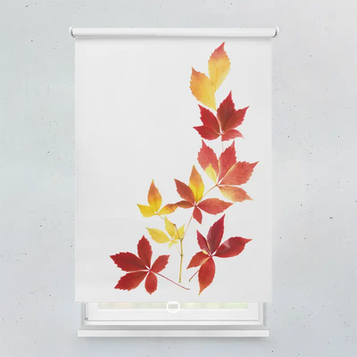 Spring Rollo Motiv Herbstblätter