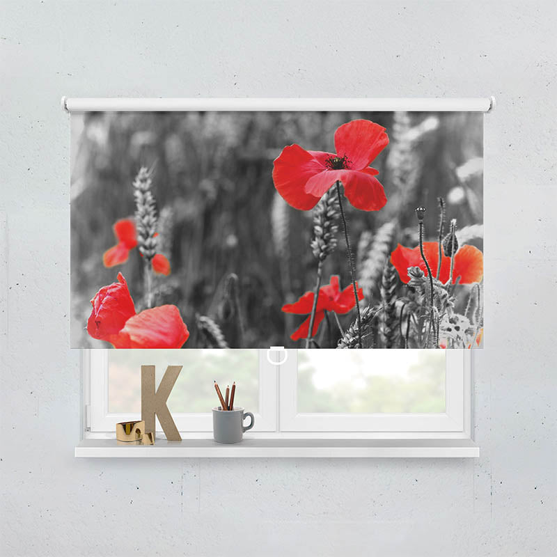Spring Rollo Motiv "Mohnblumen"