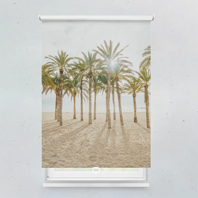 Spring Rollo Motiv Palmen Am Strand