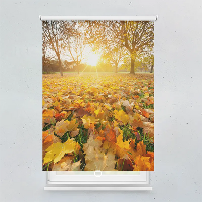 Spring Rollo Motiv Herbstblätter