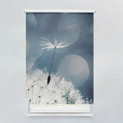 Spring Rollo Motiv Pusteblume Wasser Tropfen