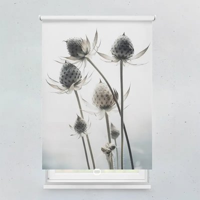 Spring Rollo Motiv Makro Blume Trockenblume