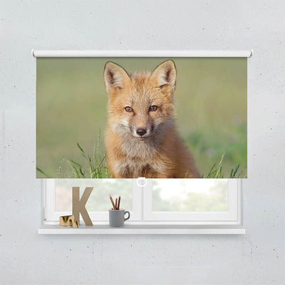 Spring Rollo Motiv Eulen