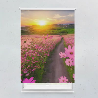 Spring Rollo Motiv Cosmos Flower Field