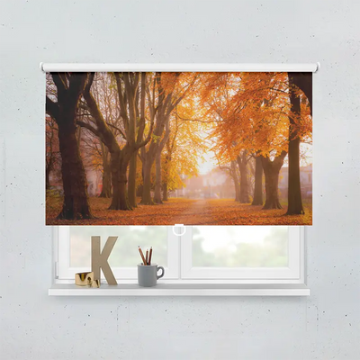 Spring Rollo Motiv Herbstbäume