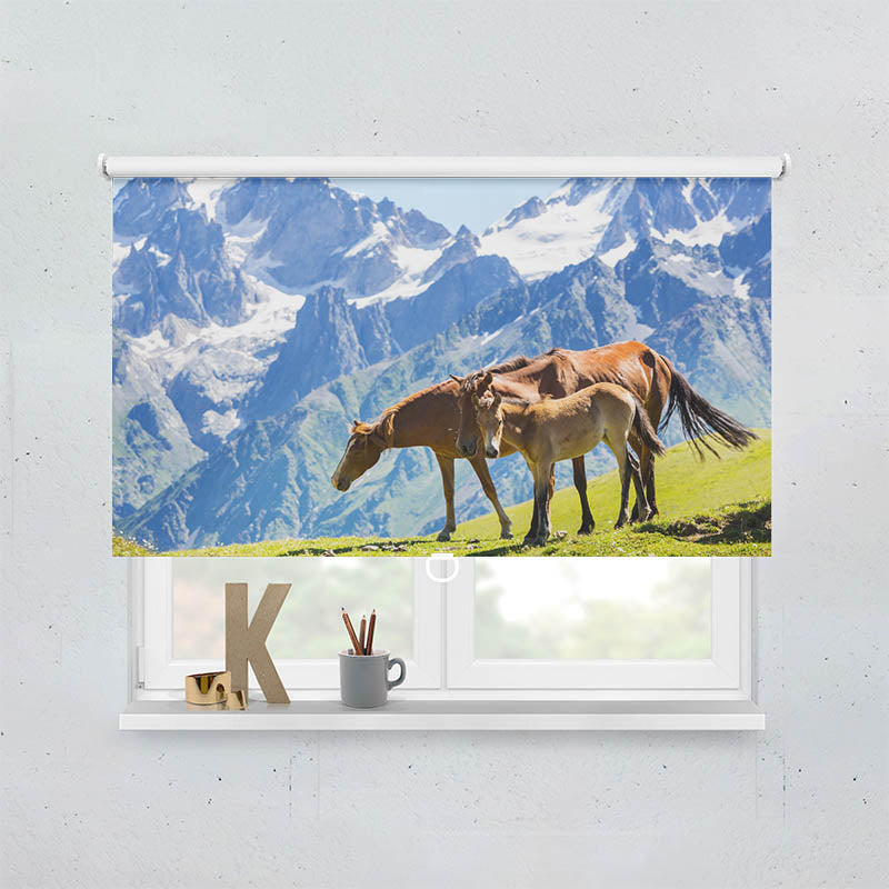 Spring Rollo Motiv "Pferde auf der Alm"