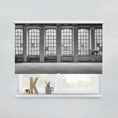 Springrollo Motiv Alte Fabrikfenster