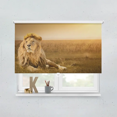 Spring Rollo Motiv Loewe Afrika Savanne