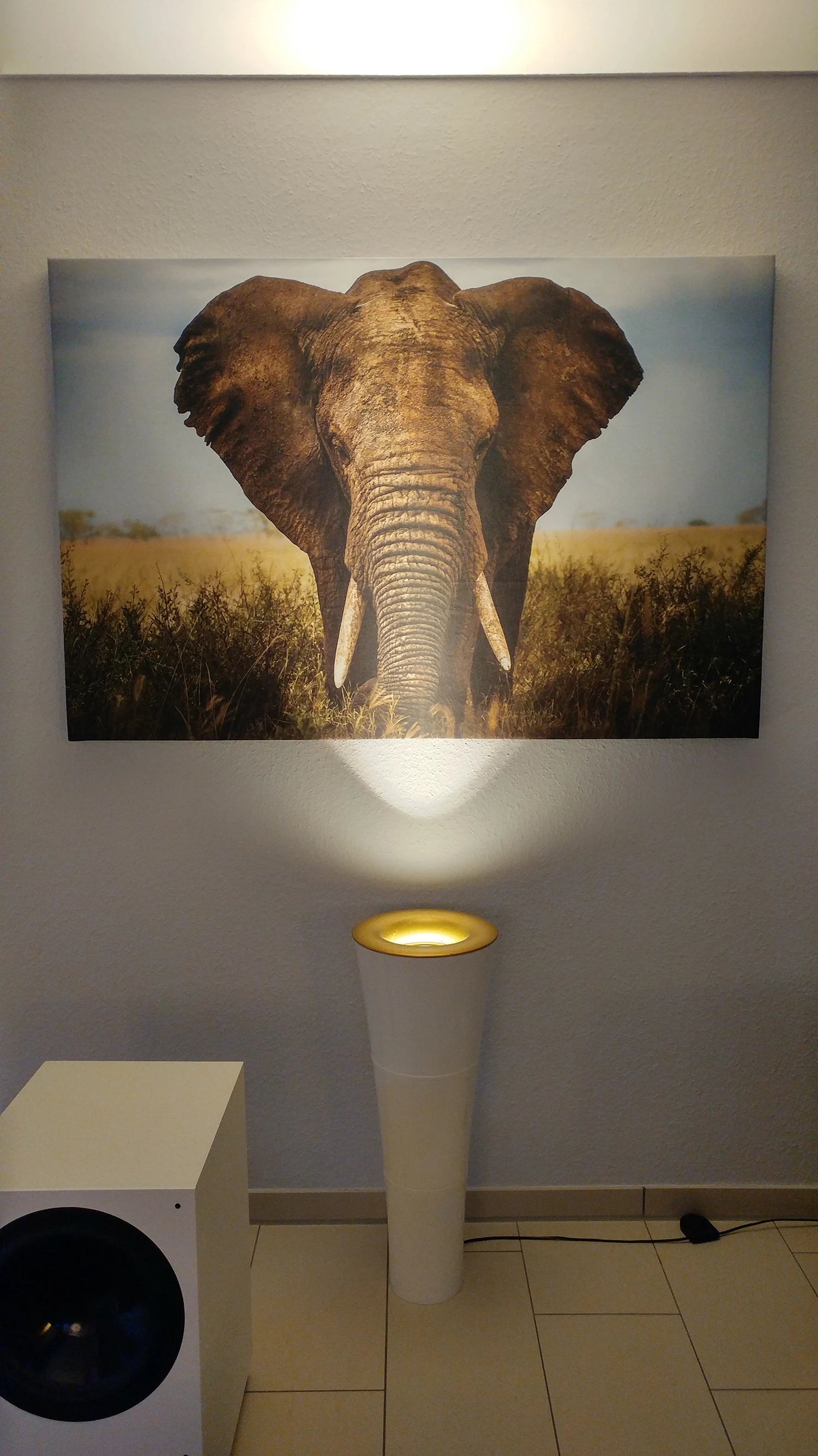 selbst gestaltete Leinwand als Akustikbild mit dem Stoff Silencio© bedruckt mit einem Elefanten und einem Lichtstrahler angestrahlt