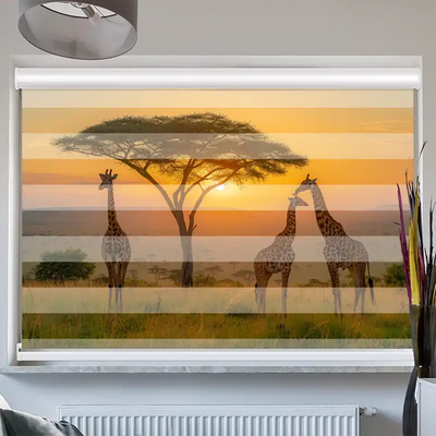 Doppelrollo Kassette Afrika Giraffen Savanne