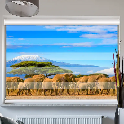 Doppelrollo Kassette Elefanten Am Kilimandscharo