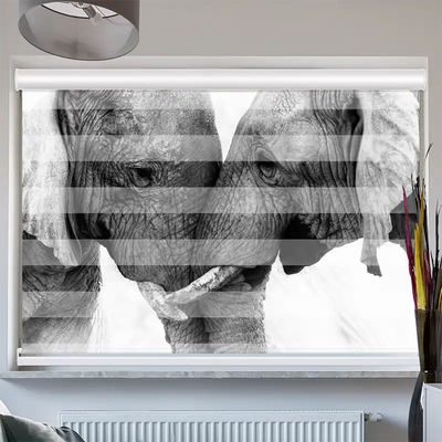 Doppelrollo Kassette Afrika Elefanten