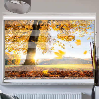 Doppelrollo mit Kassette Baum Wiese Herbst