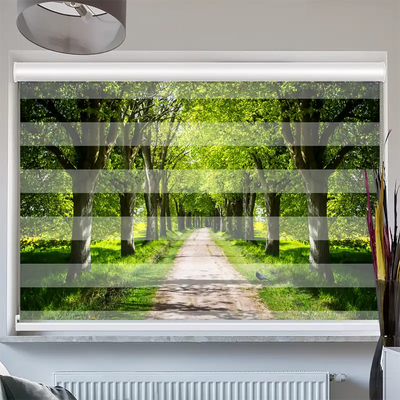 Doppelrollo Kassette Schöne Allee