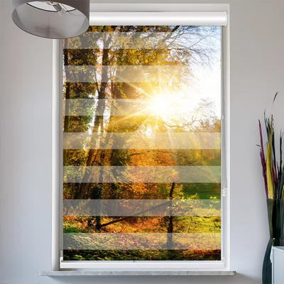 Doppelrollo mit Kassette  Herbstlandschlaft