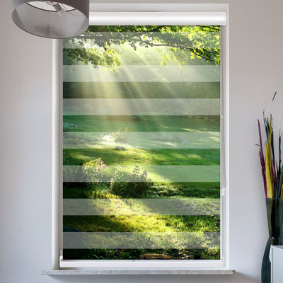 Doppelrollo mit Kassette Lichtung im Wald