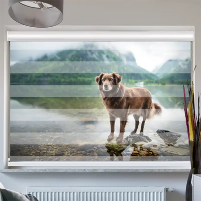 Doppelrollo Kassette Hund am Bergsee