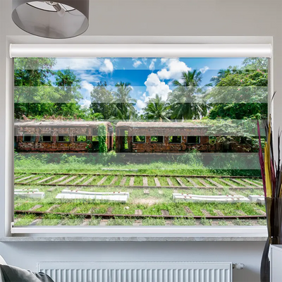 Doppelrollo Kassette Alter Zug Im Dschungel