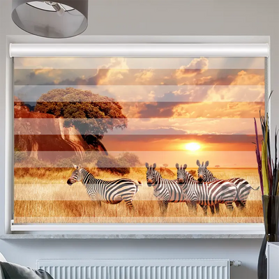 Doppelrollo Kassette Zebras In Afrikas Savanne