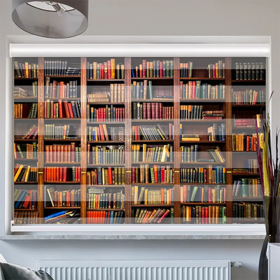 Doppelrollo Kassette Altes Bücherregal