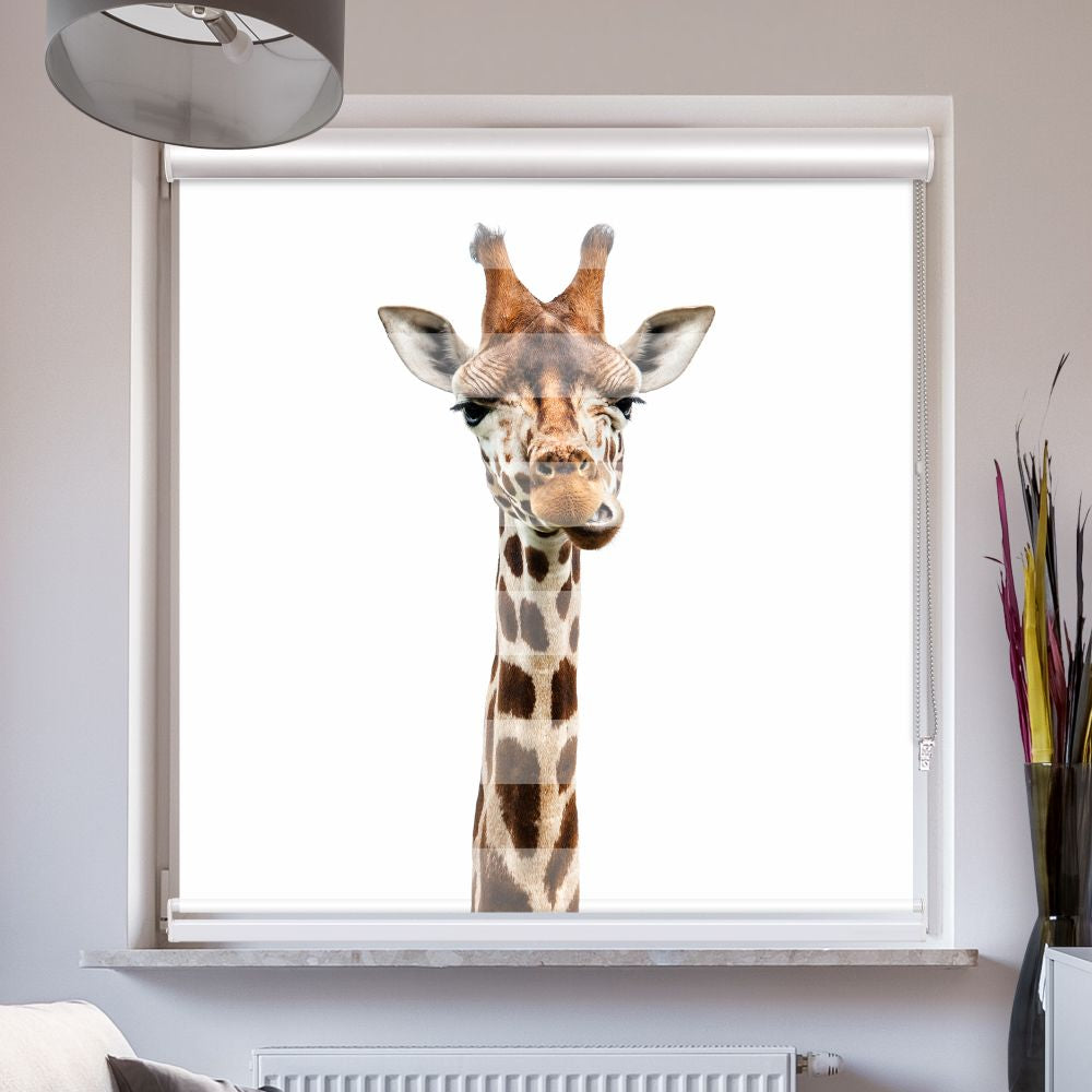 Doppellrollo mit Kassette Motiv 'Giraffe'