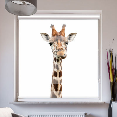 Doppellrollo mit Kassette Motiv 'Giraffe'