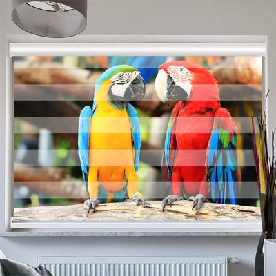 Doppelrollo mit Kassette  Papageien