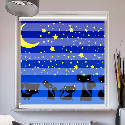 Doppelrollo mit Kassette  Katzen Unter dem Sternenhimmel