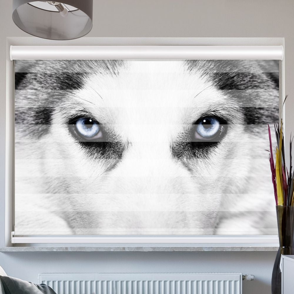 Doppellrollo mit Kassette Motiv 'Wolf Augen'