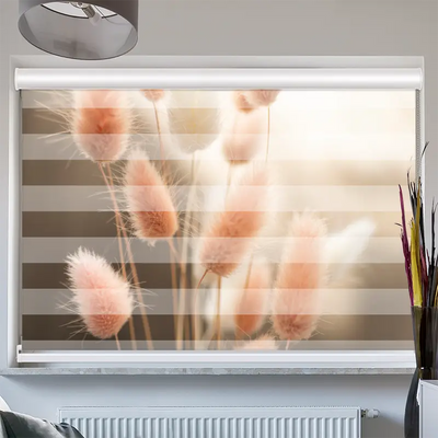 Doppelrollo Kassette Flauschiges Hasenschwanzgras