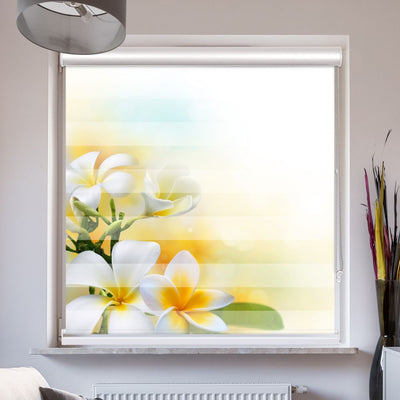 Doppelrollo mit Kassette Frangipani