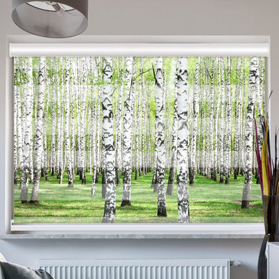 Doppelrollo mit Kassette Birkenwald