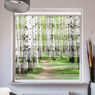 Doppelrollo mit Kassette Birkenwald Weg