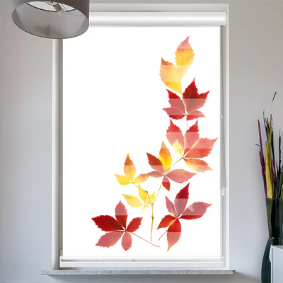 Doppelrollo mit Kassette  Herbstblaetter