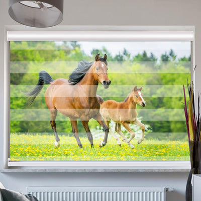 Doppelrollo mit Kassette Pferd mit Fohlen