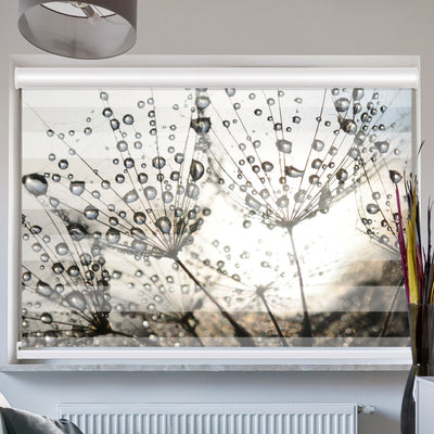 Doppelrollo mit Kassette Pusteblume Tautropfen
