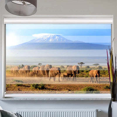 Doppelrollo mit Kassette  Elefanten am Kilimandscharo