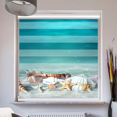 Doppelrollo Kassette Muschel Und Seestern Am Strand