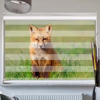 Doppelrollo mit Kassette  Fuchs