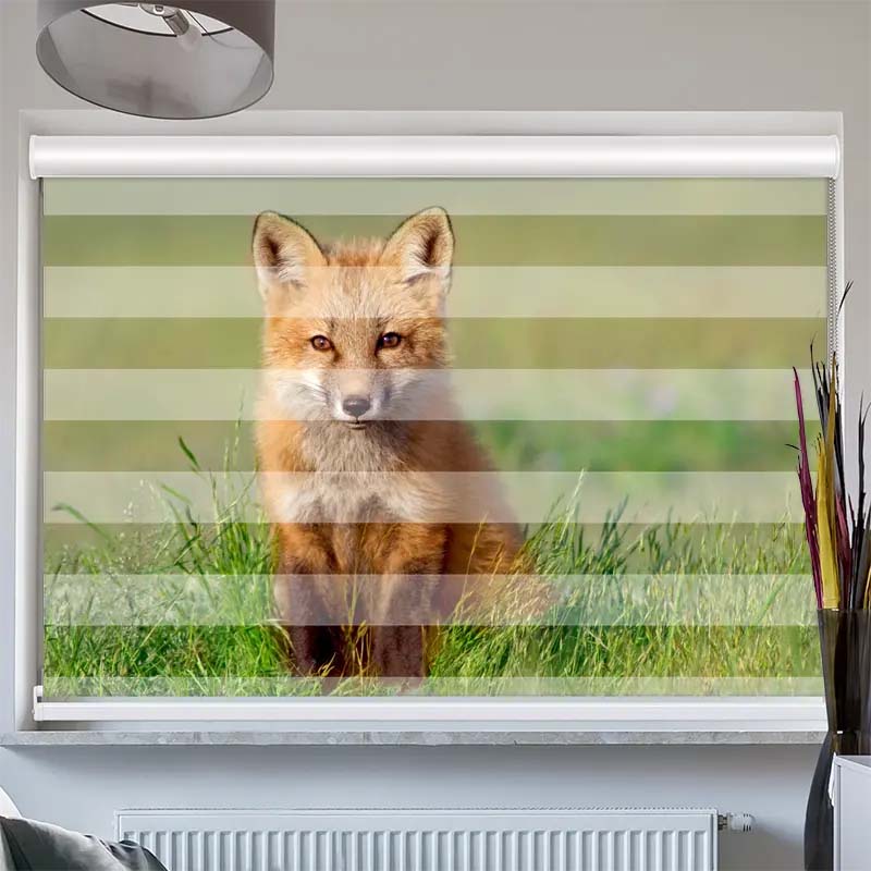 Doppelrollo mit Kassette  Fuchs