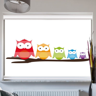 Doppelrollo mit Kassette Bunte Eulen